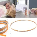 61TQLmgVecL._SL1001_.webp