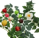81OD2Hm19QL._AC_SL1500_.webp