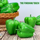 71VAhq2zpfL._AC_SL1200_.webp