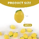 51JSW86D1sL._AC_SL1000_.webp