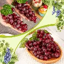 81cmnCgOMsL._AC_SL1500_.webp
