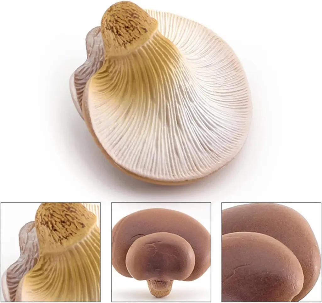 71nce88caVL._AC_SL1479_.webp