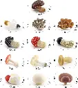 71MusZwmdJL._AC_SL1500_.webp