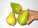 91J33Gc+q6L._AC_SL1500_.webp