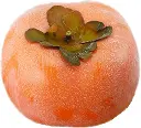 51TOQea+9bL._AC_SL1008_.webp