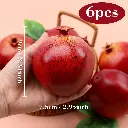 71Gf5-DXmfL._AC_SL1500_.webp