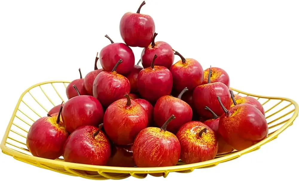 61wtOH6x4DL._AC_SL1000_.webp