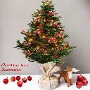 61vX9cNnDTL._AC_SL1000_.webp
