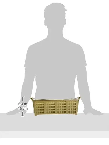 31CS1jtfnNL.webp