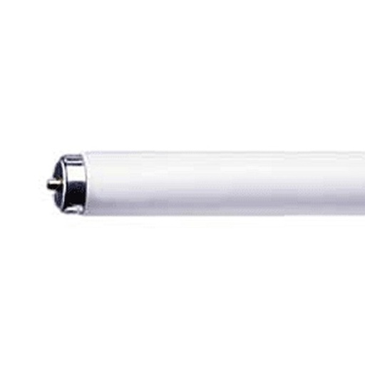 38 Watt Fluorescent Light Bulb