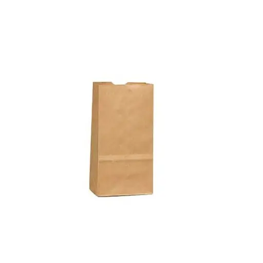 B&H Paper Bag 25 Lb Brown