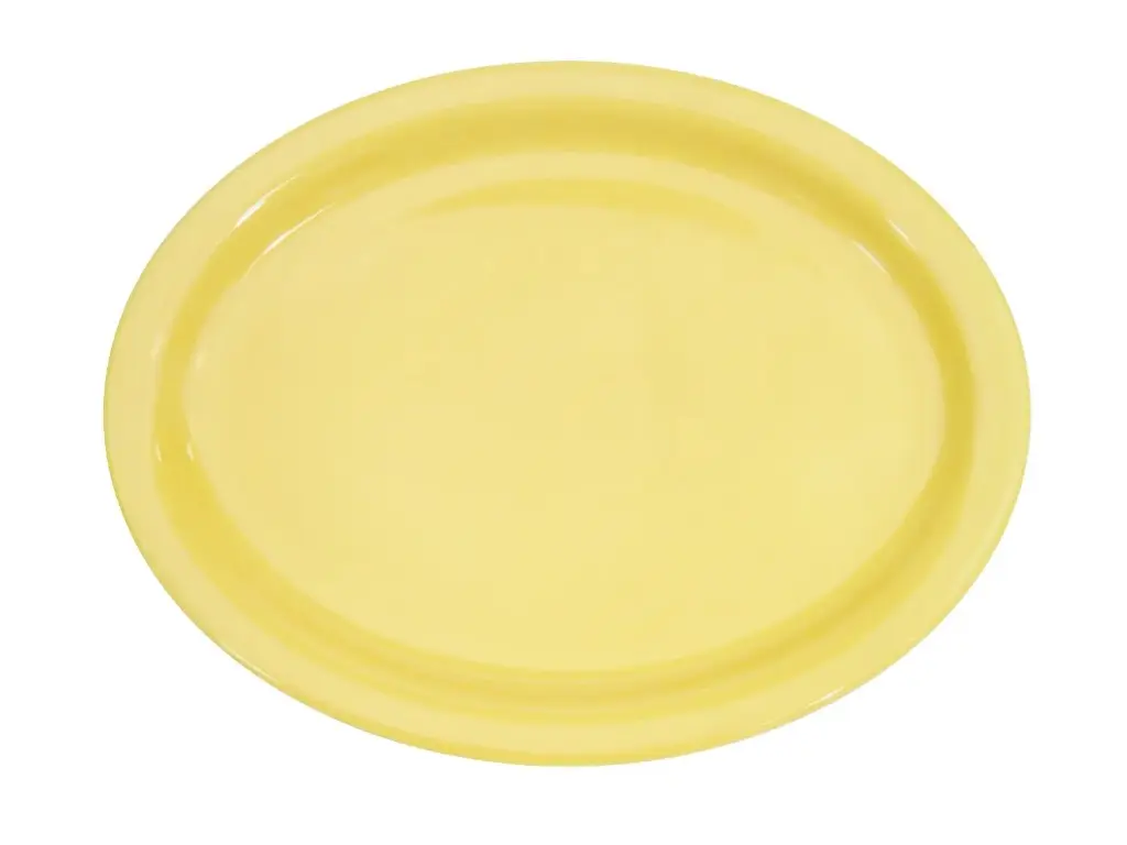 CAC China L-12NR-Y Yellow Platter Narrow Rim 9.25 Inch