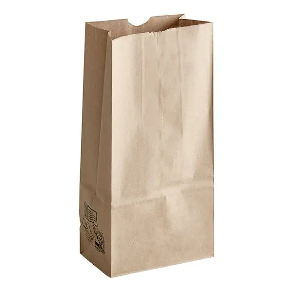 Duro Paper Bag 20 Lb Brown