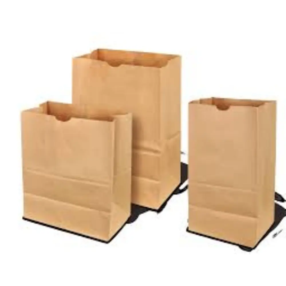 Paper Bag 1/6 BBL Brown