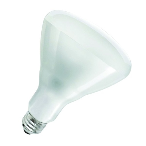 UPDATE HTLP-BULB(W) 250 Watt Heat Lamp Bulb, White