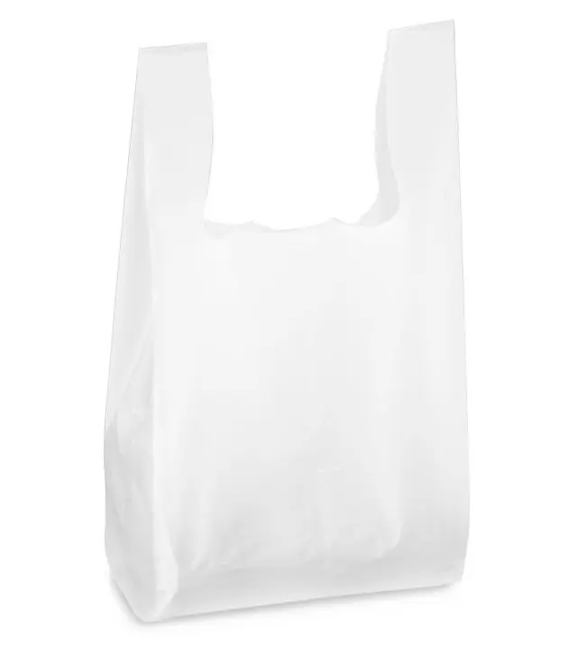 1/11 Shopping Bags