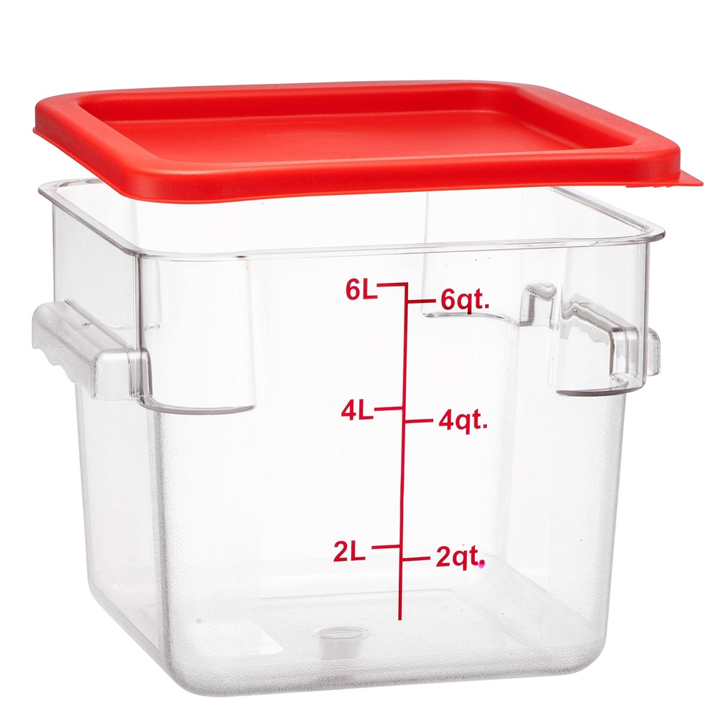 6 Cell Clear Peach Container