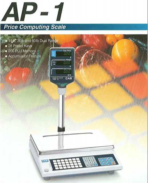 CAS AP-1 Computing Scale 60 Lbs Pole