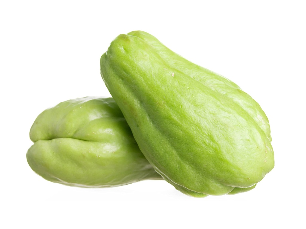 Chayote Replica Small