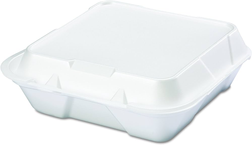 Genpak SN200 To Go Box Large 9X9X3