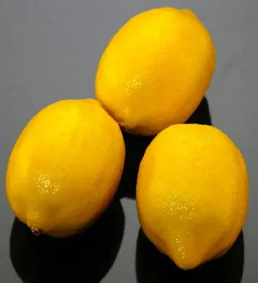 Lemon Replica Small