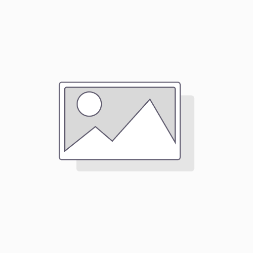 Low Profile Riser with Slots