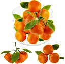 Orange Replica