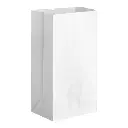 Paper Bag 25 Lb White Short