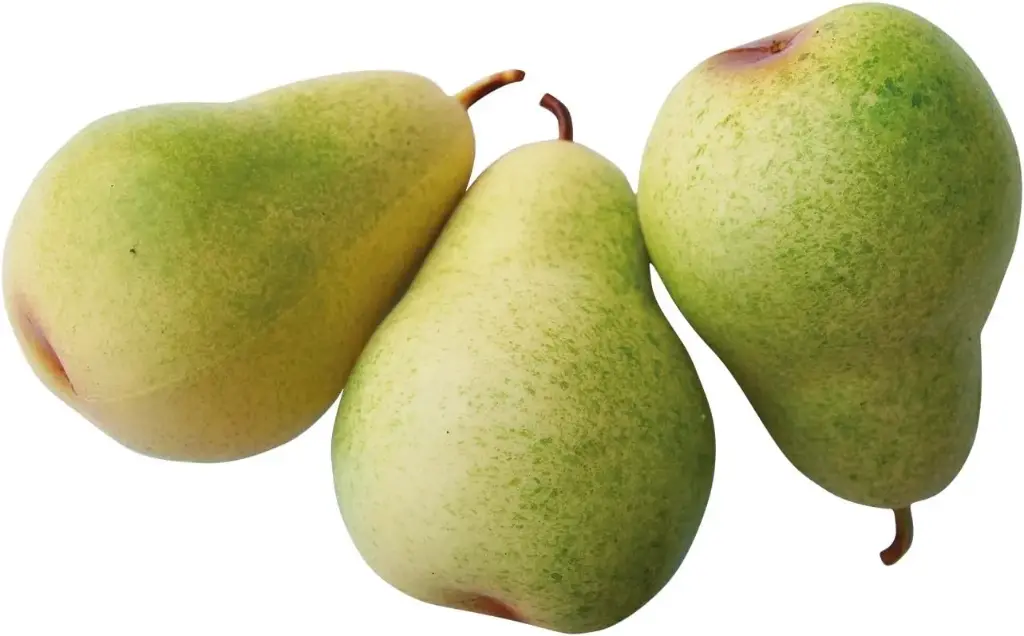 Pear Replica Jumbo