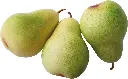 Pear Replica Jumbo