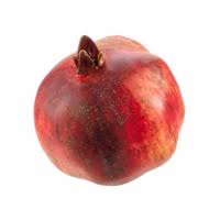 Pomegranate Replica