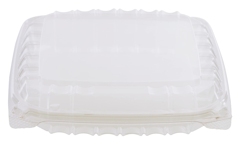 SeeShell¬Æ N32 8 Inch Deep Clear Hinged Container
