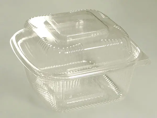 SeeShell¬Æ N32 8 Inch Deep Clear Hinged Container