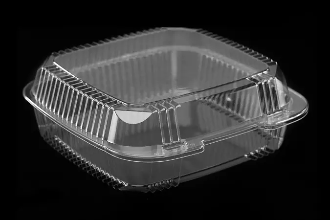 SeeShell¬Æ N40 Large Plastic Clear Hinged Container