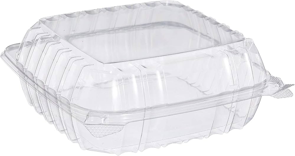 SeeShell¬Æ N40 Large Plastic Clear Hinged Container