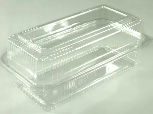SeeShell¬Æ N48 Plastic Clear Hinged Loaf Container