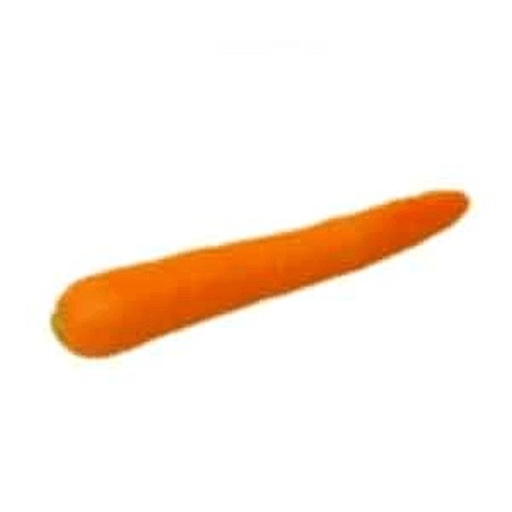 [2907] Carrot Replica Small, with Leaves