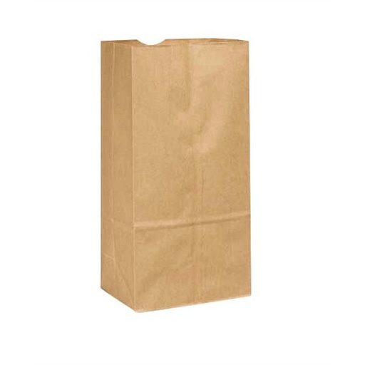 [484] Duro Paper Bag 20 Lb Brown