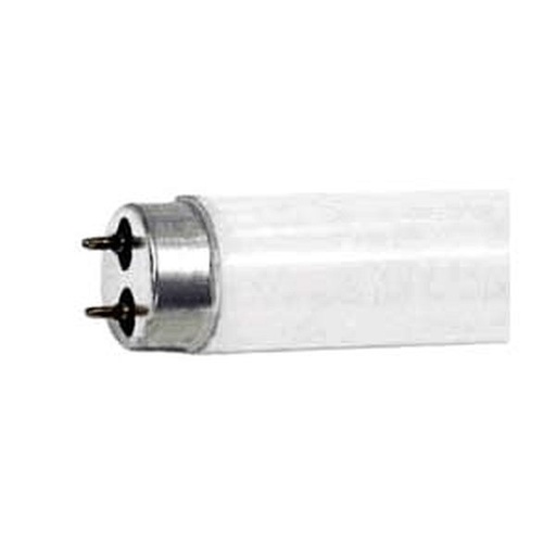 [4971] Fluorescent Light Bulb
