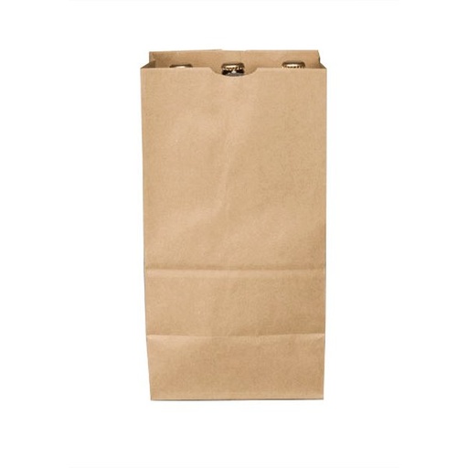 [483] Paper Bag 20 Lb Brown