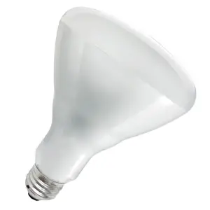 [3890] UPDATE HTLP-BULB(W) 250 Watt Heat Lamp Bulb, White