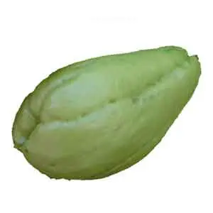 [2909] Chayote Replica Small