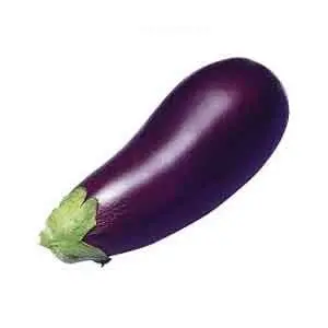 [2905] Eggplant Replica Small