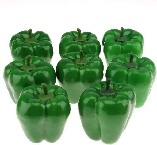 [2903] Green Bell Pepper Replica Small