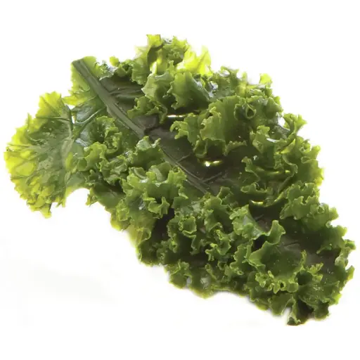 [2913] Kale Runner 12"