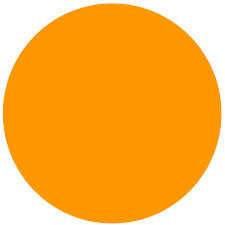 [678] RETURN Orange Round Label