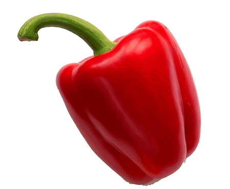 [2904] Red Bell Pepper Replica Small