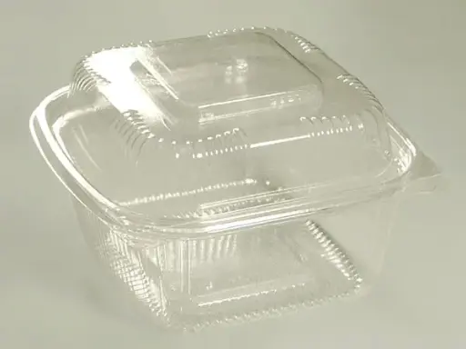 [754] SeeShell¬Æ N20 6 Inch Deep Clear Hinged Container