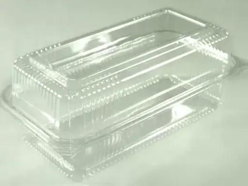 [757] SeeShell¬Æ N48 Plastic Clear Hinged Loaf Container