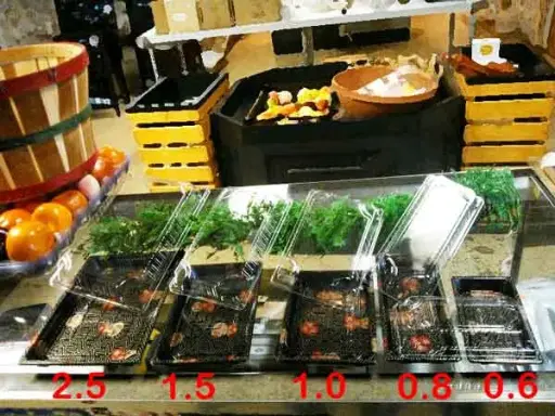 [6473] Sushi Container Rectangular Long 8 X 3